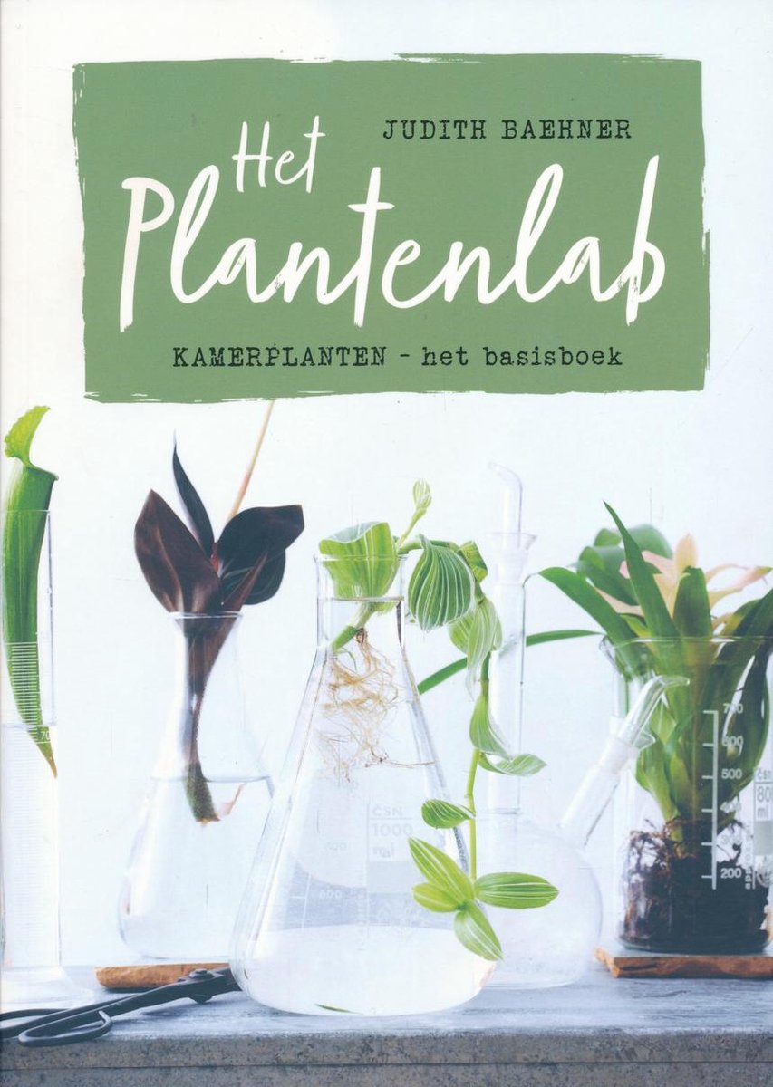 Judith Baehner Plantenlab thumbnail