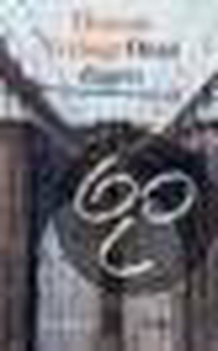 boekenbalie_9789020417036_cover Onze Dagen