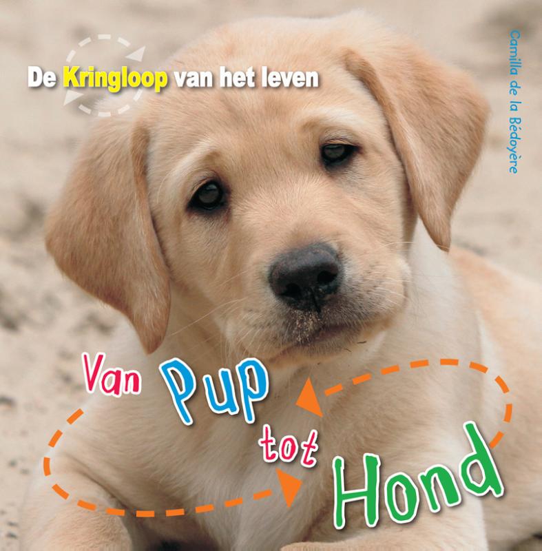 Van pup tot hond / De Kringloop van het Leven