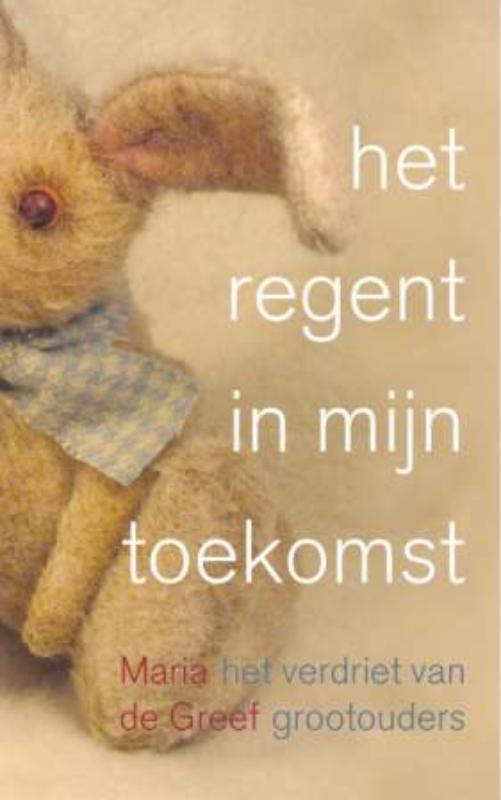 Het regent in mijn toekomst