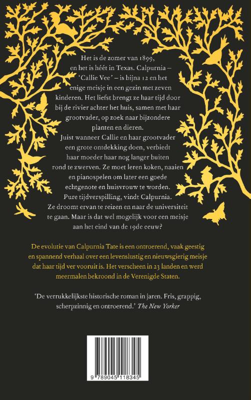 De evolutie van Calpurnia Tate achterkant