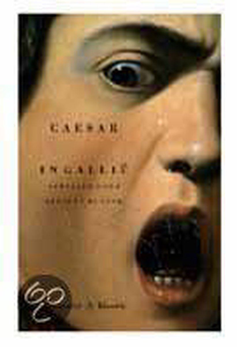 Gaius Julius Caesar Oorlog In Gallie / Salamander Klassiek