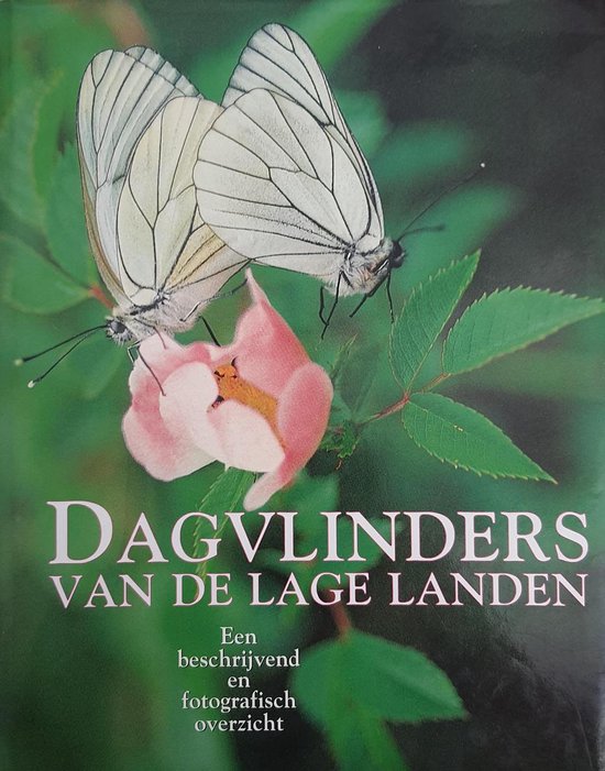 Dagvlinders van de lage landen