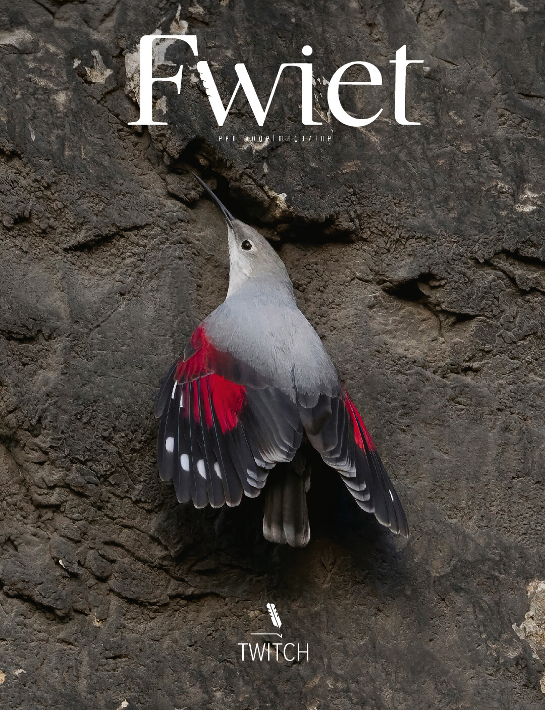 Fwiet - een vogelmagazaine / Fwiet / 7