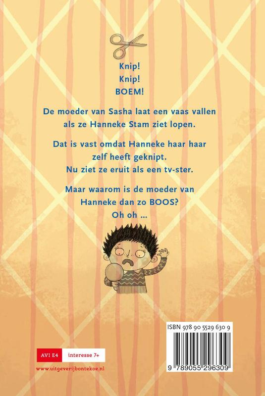 Hannekes haar / Piraatjes achterkant