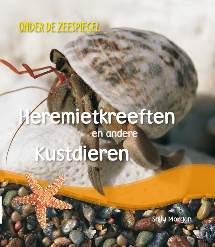 Onder de zeespiegel  -   Heremietkreeften en andere kustdieren