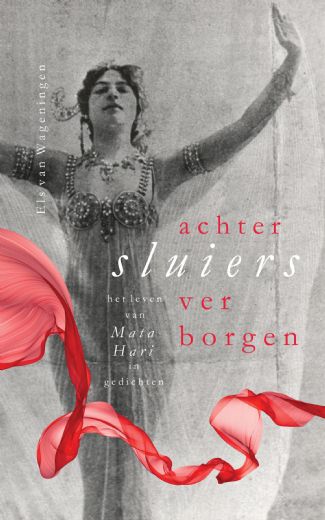 boekenbalie_9789402239508_cover Achter sluiers verborgen