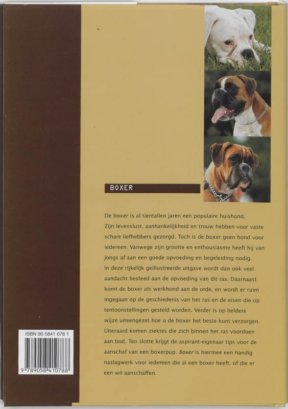 Boxer achterkant