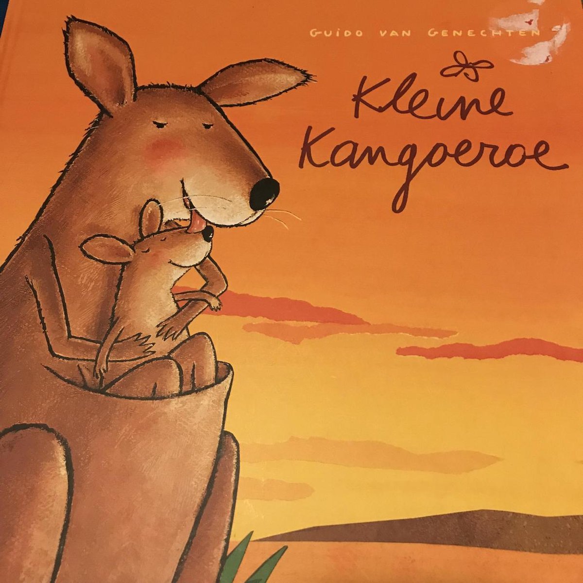 Kleine kangoeroe
