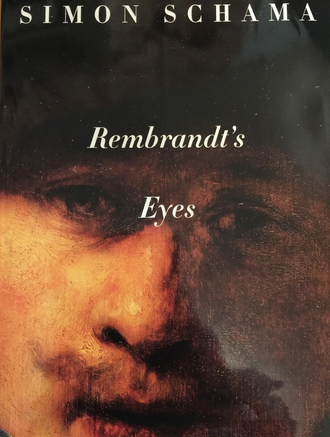 Simon Schama Rembrandt's Eyes thumbnail