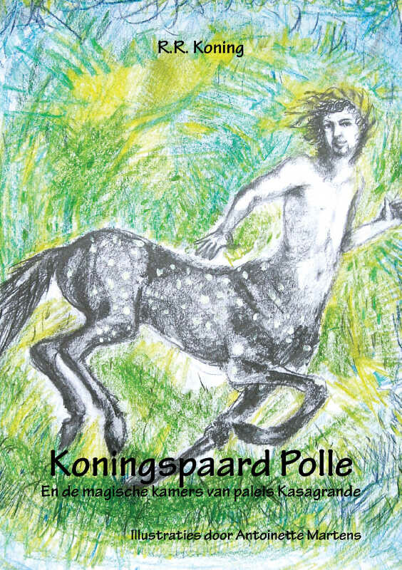 Koningspaard Polle