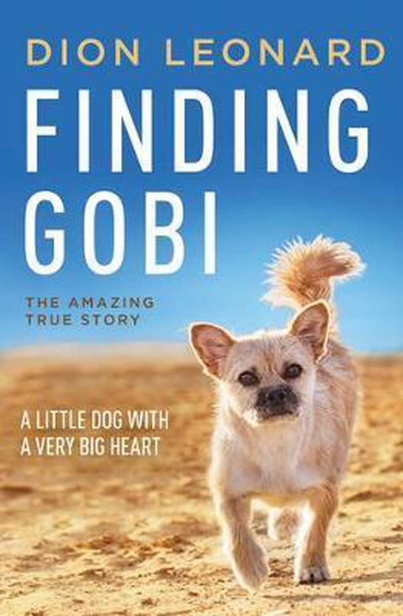 Finding Gobi