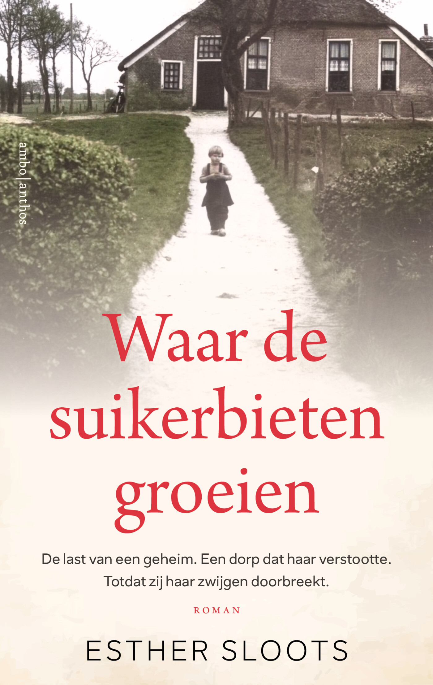 Esther Sloots Waar De Suikerbieten Groeien
