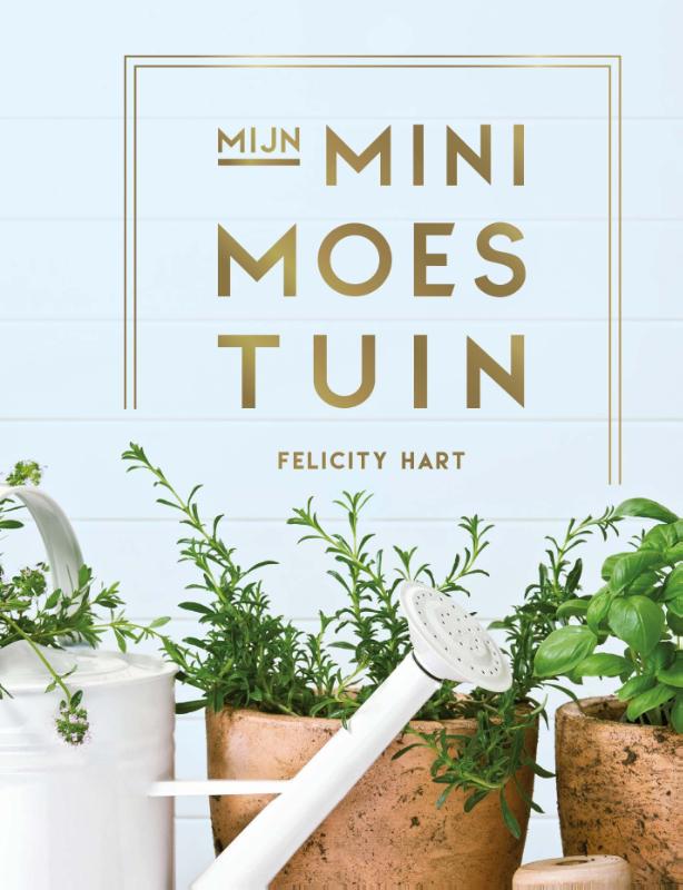 Mijn minimoestuin