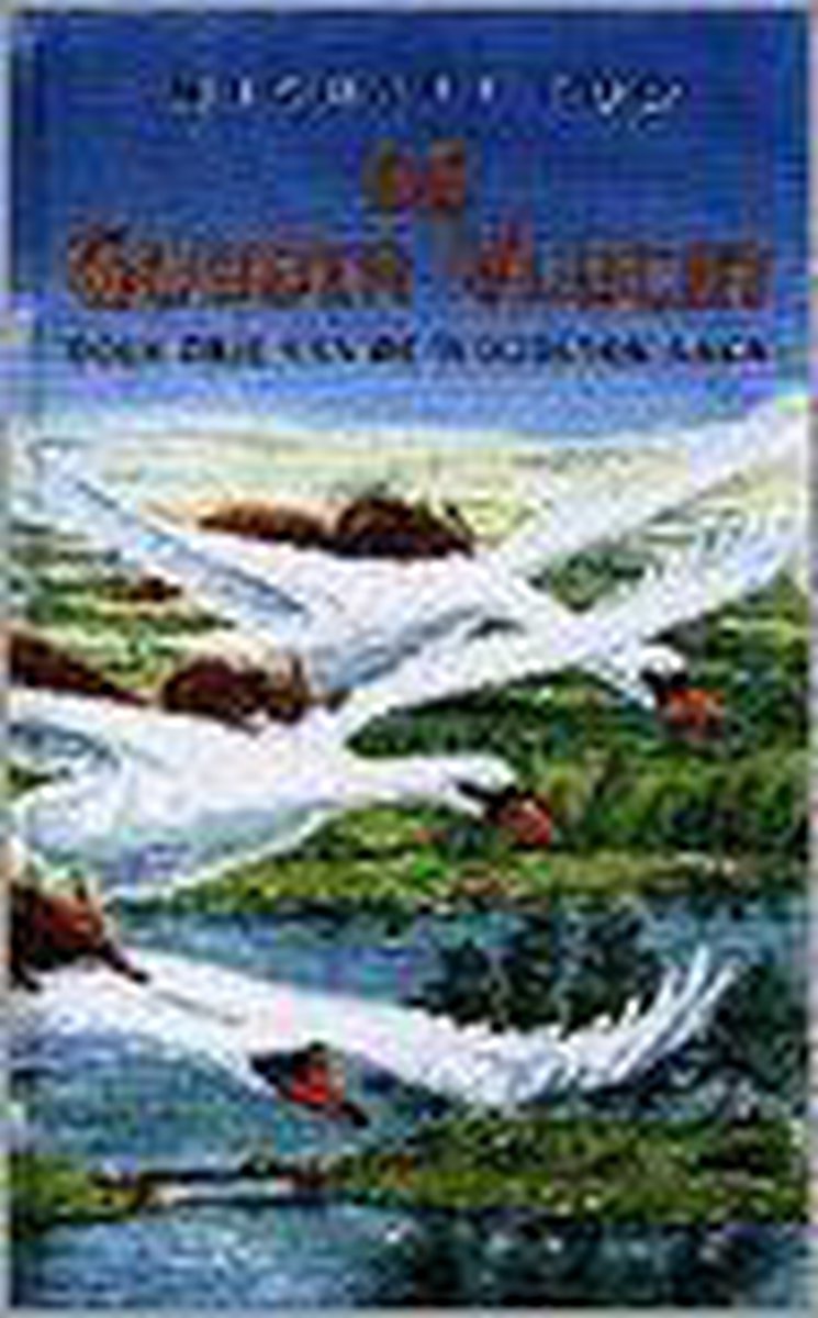 boekenbalie_9789024526420_cover De gouden vlucht / De woudstok saga / b. 2