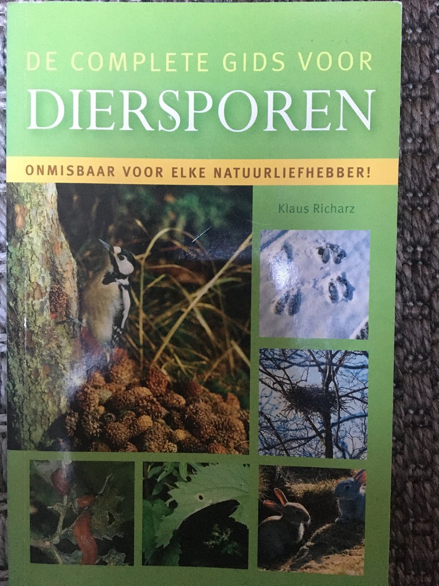 boekenbalie_9789043820554_cover Mantled with Authority