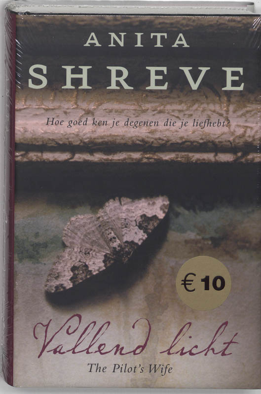 Anita Shreve Vallend Licht thumbnail