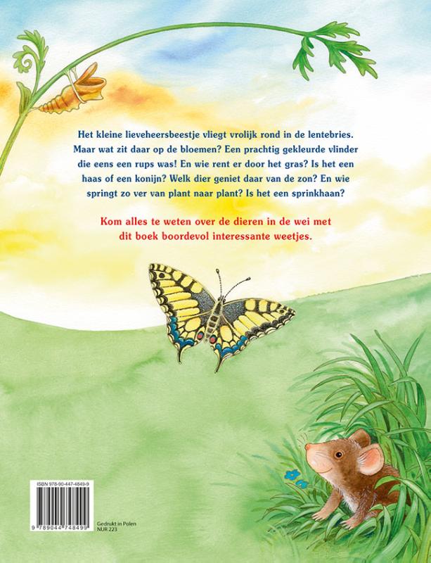 Het kleine lieveheersbeestje en de dieren in de wei Het kleine lieveheersbeestje en de dieren in de wei achterkant