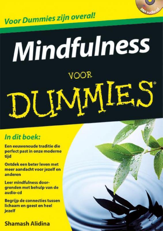 boekenbalie_9789045351810_cover Mindfulness voor Dummies / Voor Dummies