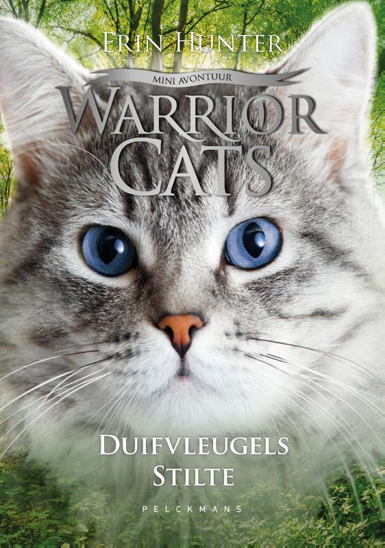 WarriorCats Mini Avontuur - Duifvleugels stilte