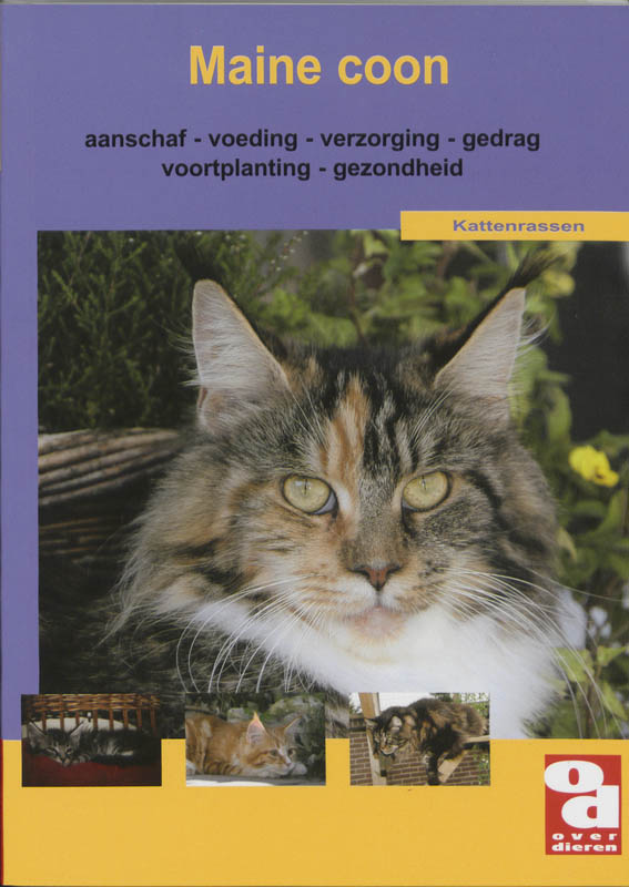 Maine Coon / Over Dieren / 177