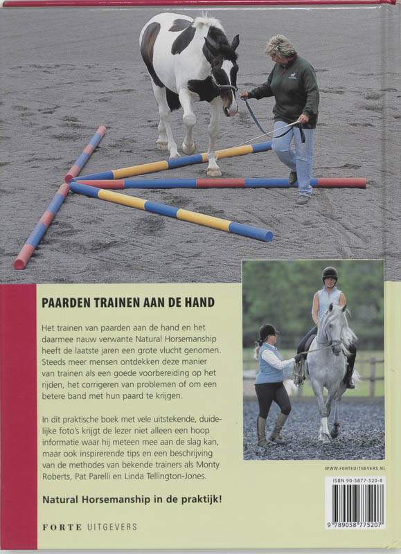 Paarden Trainen Aan De Hand achterkant