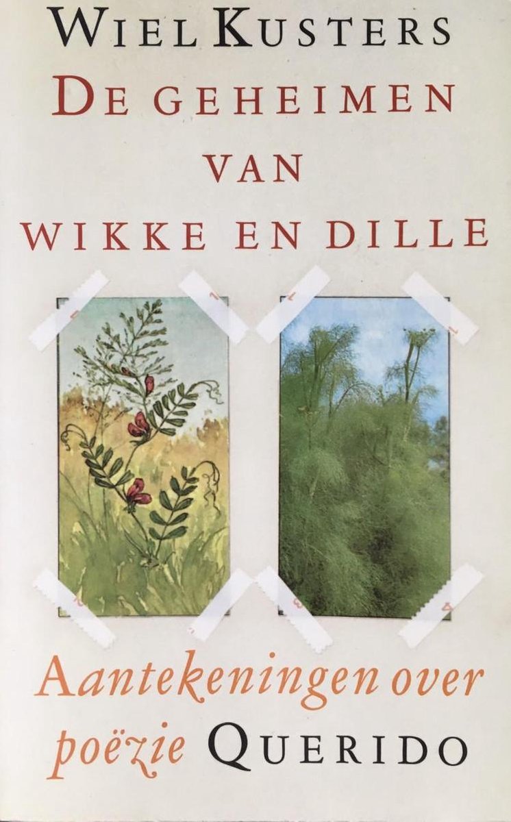 De geheimen van Wikke en Dille - Aantekeningen over poëzie
