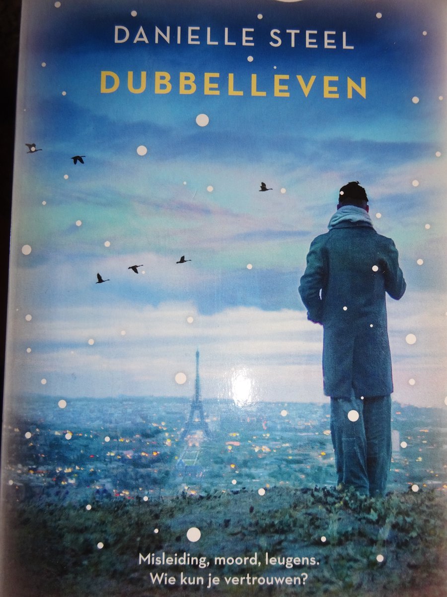 Dubbelleven Danielle Steel thumbnail