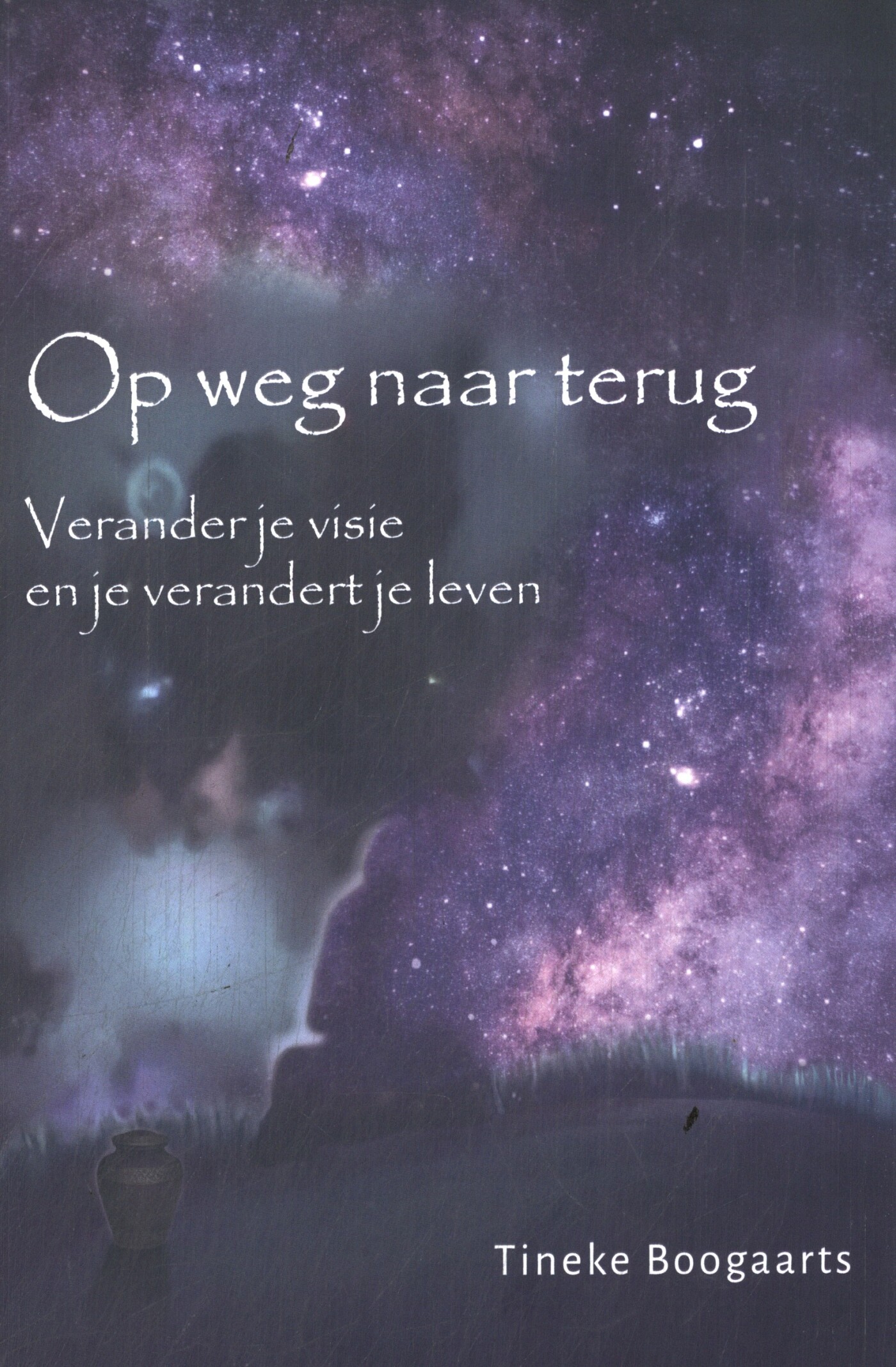 Tineke Boogaards Op Weg Naar Terug thumbnail