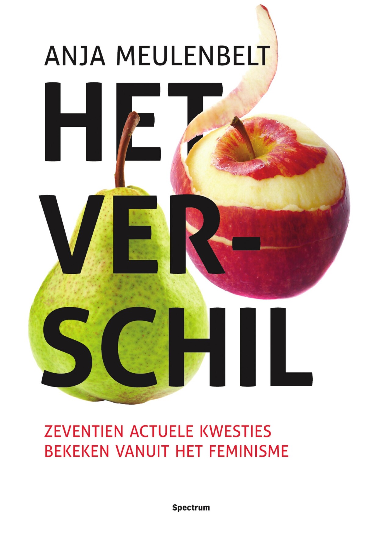 Anja Meulenbelt Het Verschil