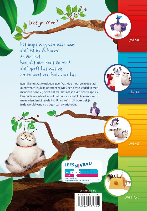 De beste kat van de stad achterkant