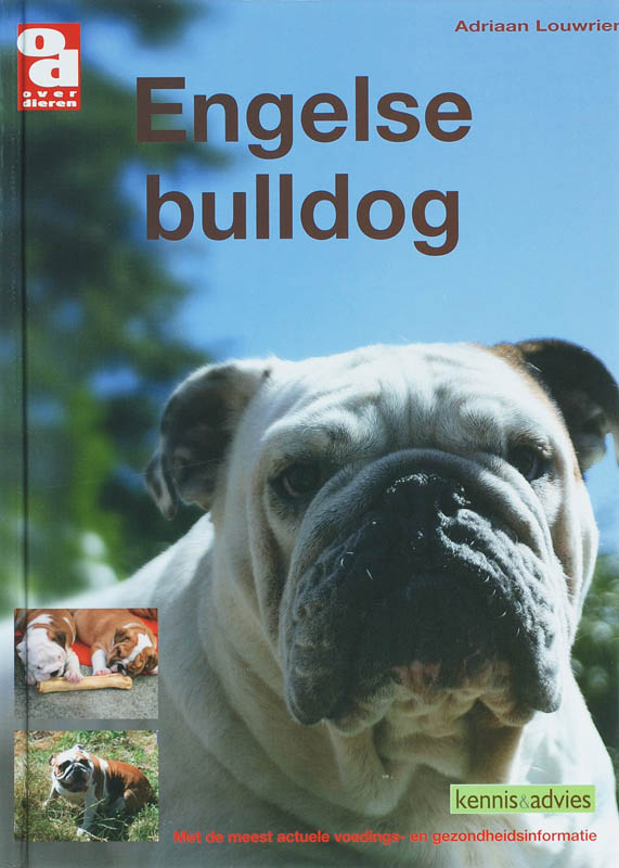 Over Dieren  -   Engelse bulldog