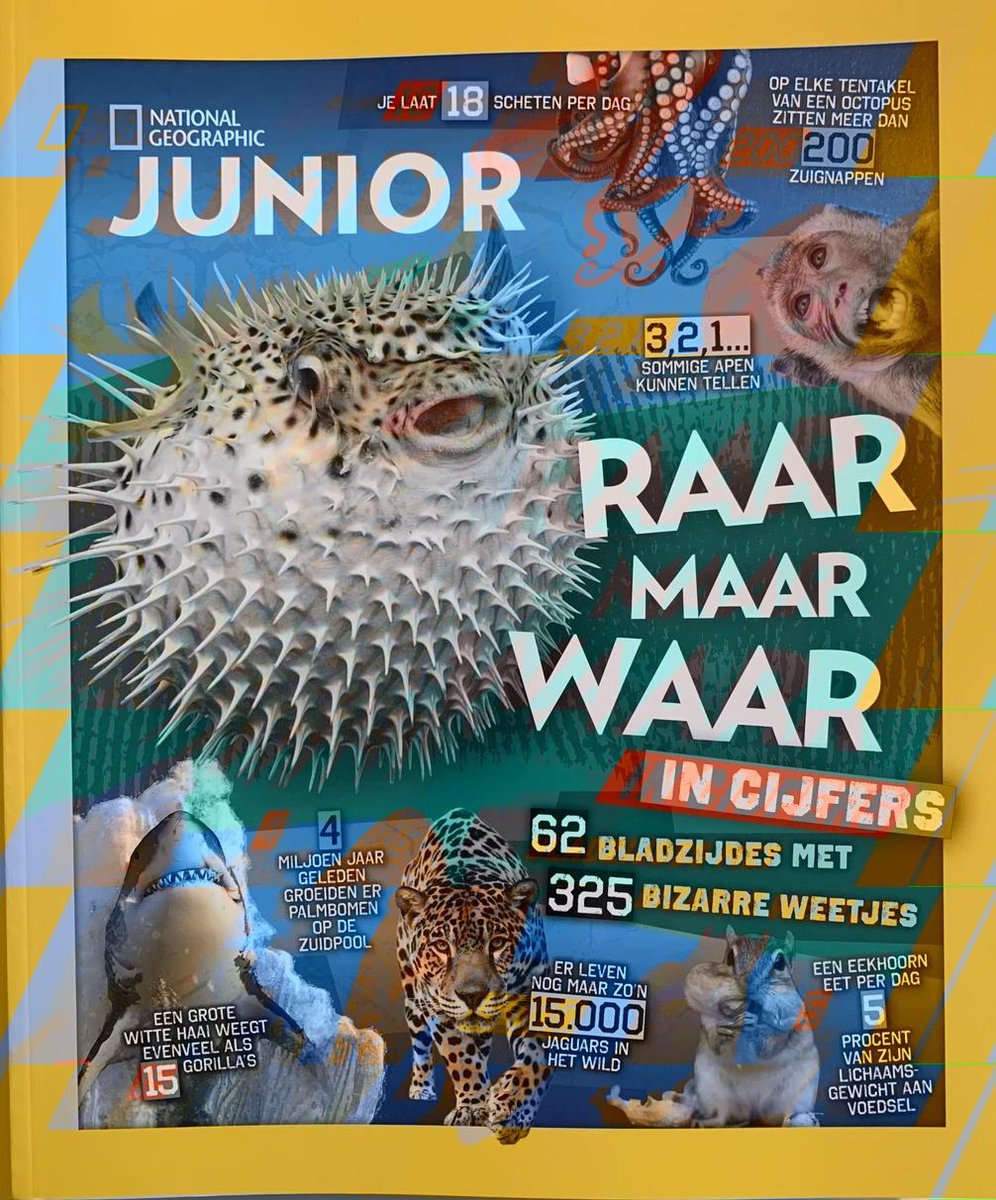 National Geographic Junior - Raar maar waar in cijfers