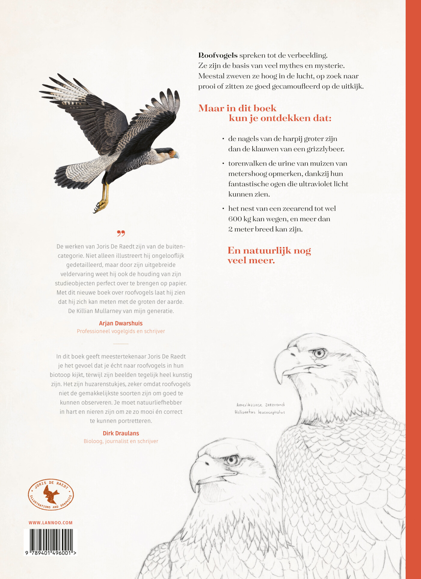 Roofvogels achterkant