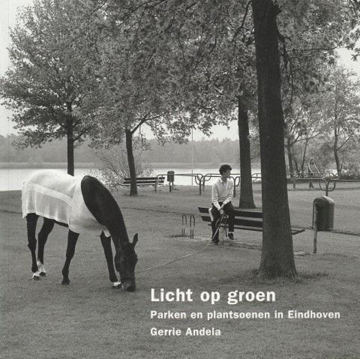 Licht op groen