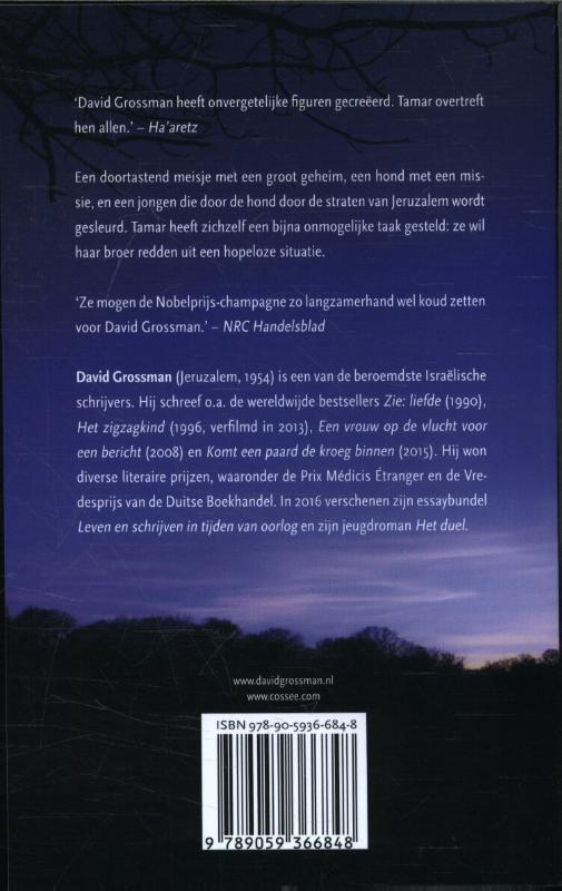 De stem van Tamar De stem van Tamar achterkant