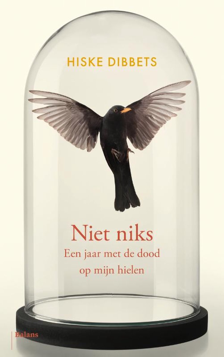 boekenbalie_9789463822657_cover Niet niks