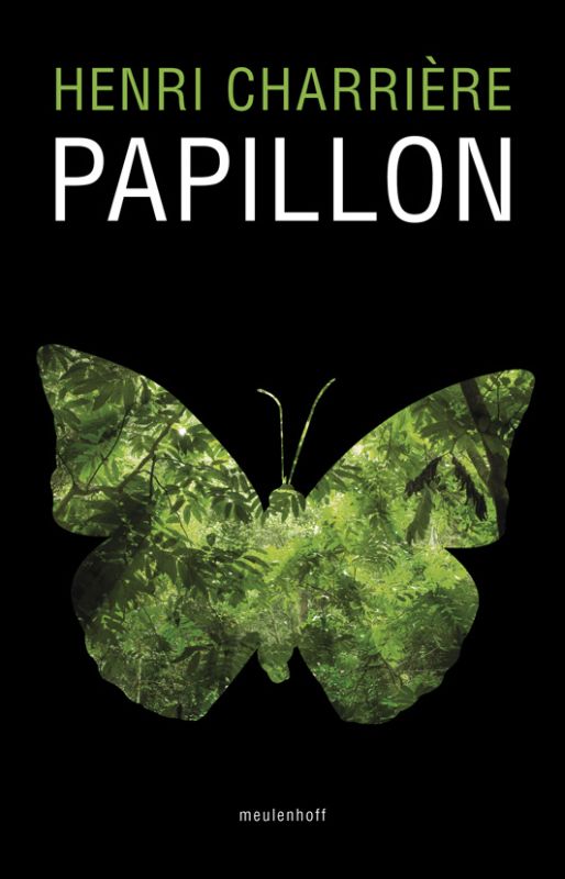 Papillon