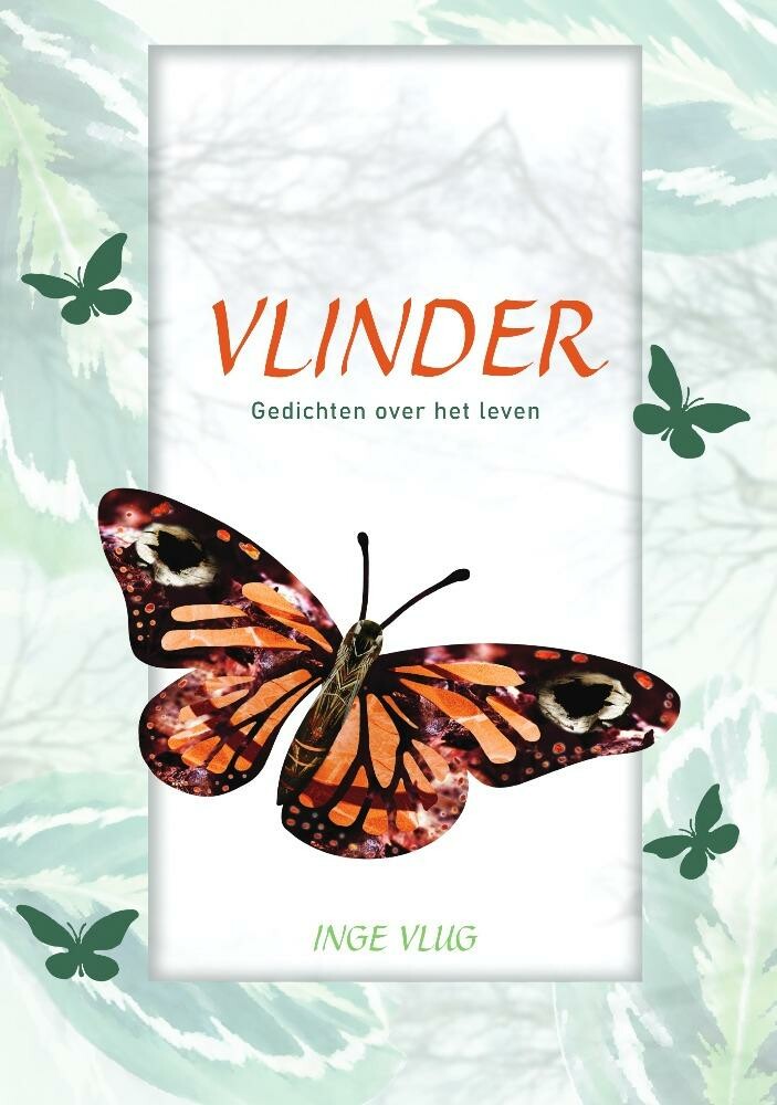 Vlinder