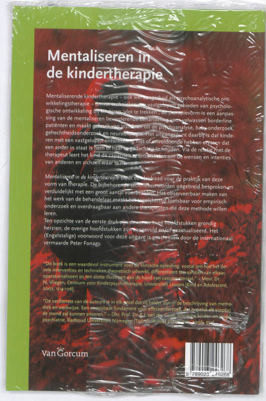 Mentaliseren in de kindertherapie achterkant