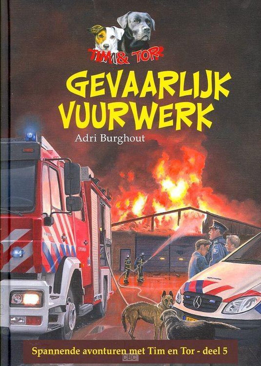 Gevaarlijk vuurwerk / Tim & Tor / 5