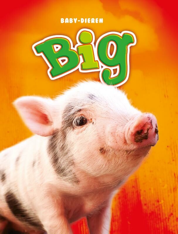 Big / Baby-dieren