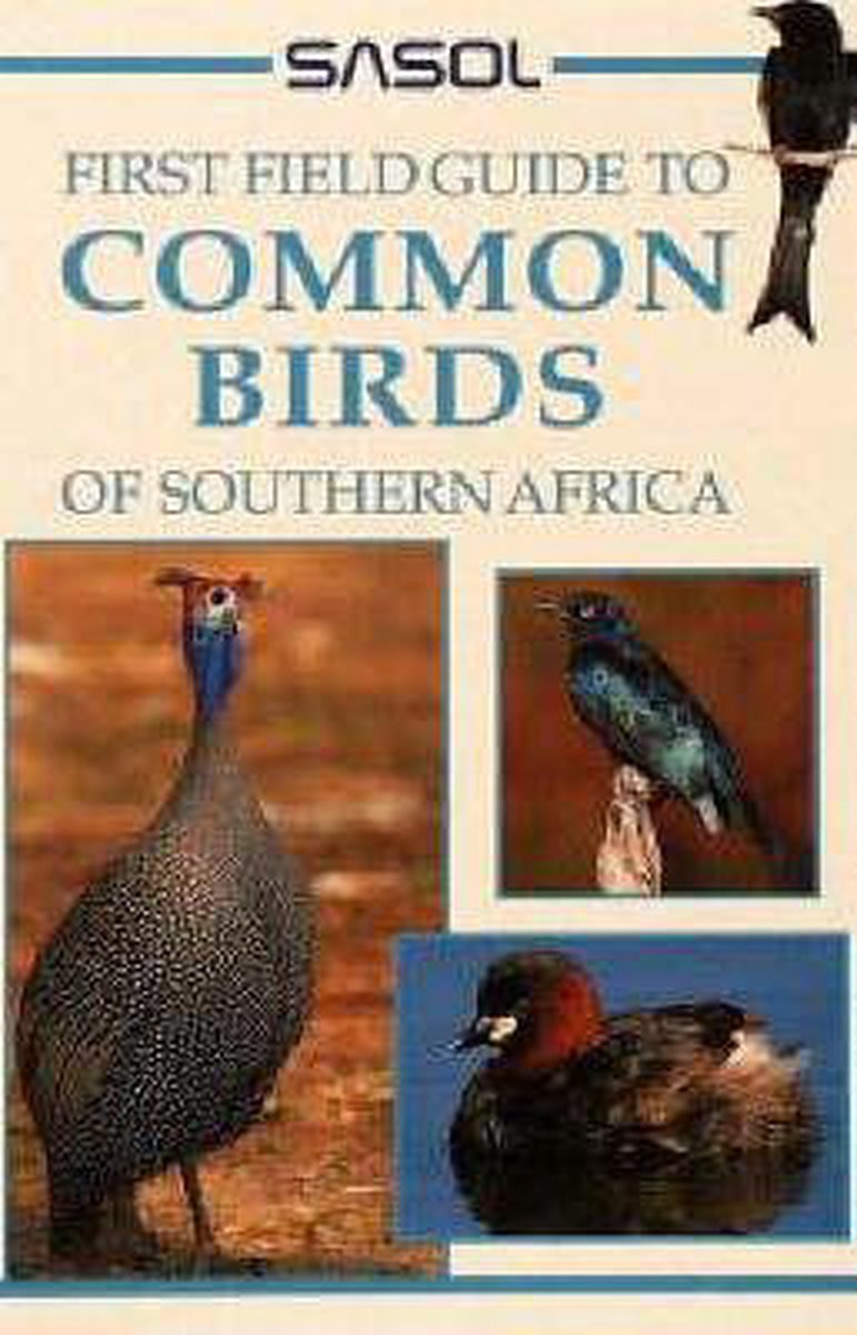 Common Birds of Southern Africa