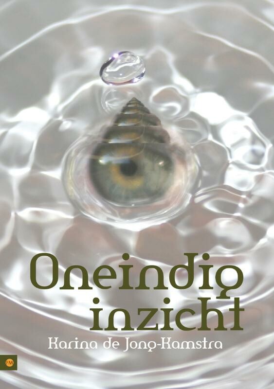 Oneindig inzicht