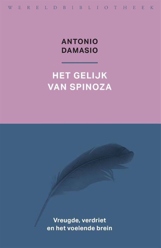 Antonio Damasio Het Gelijk Van Spinoza thumbnail