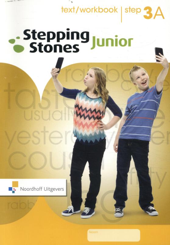 Stepping Stones Junior Step 3a text/workbook