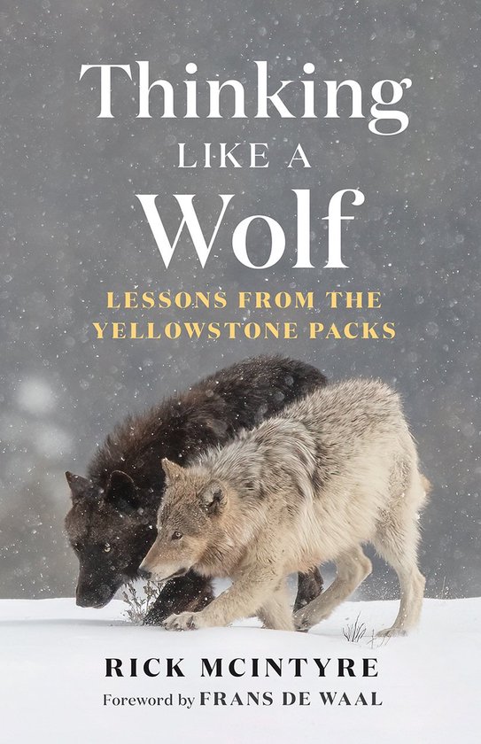 The Alpha Wolves of Yellowstone Series- Thinking Like a Wolf