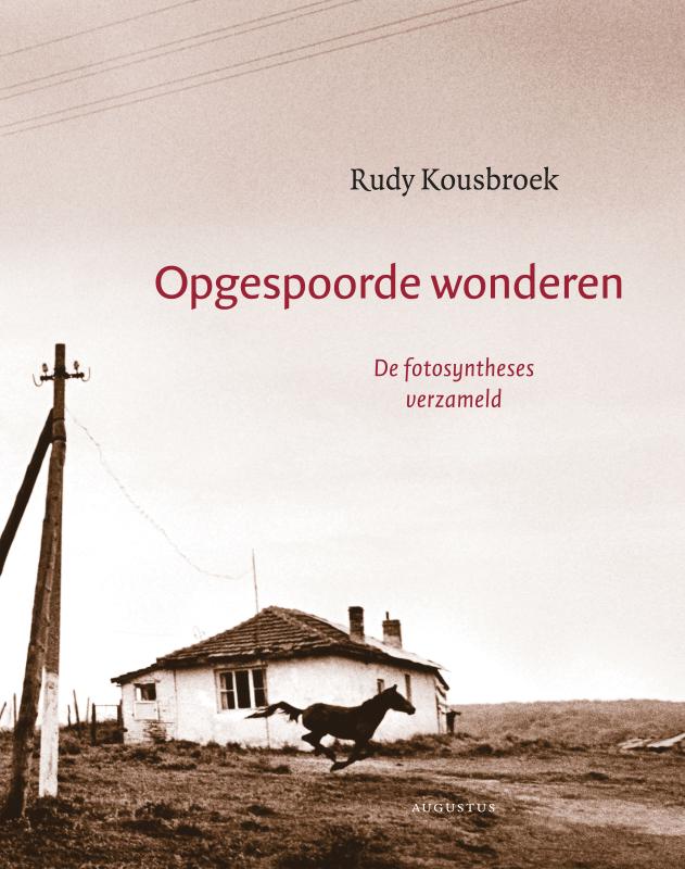 Opgespoorde wonderen