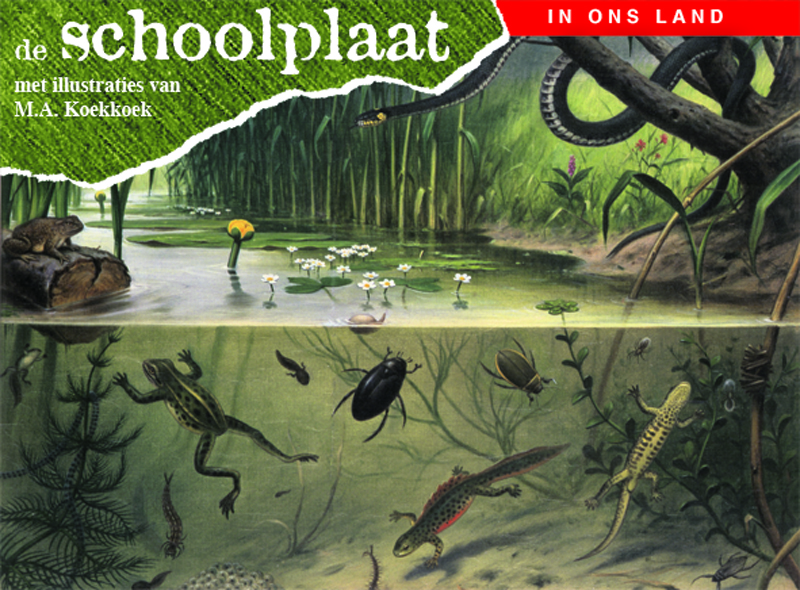 De schoolplaat / In ons land