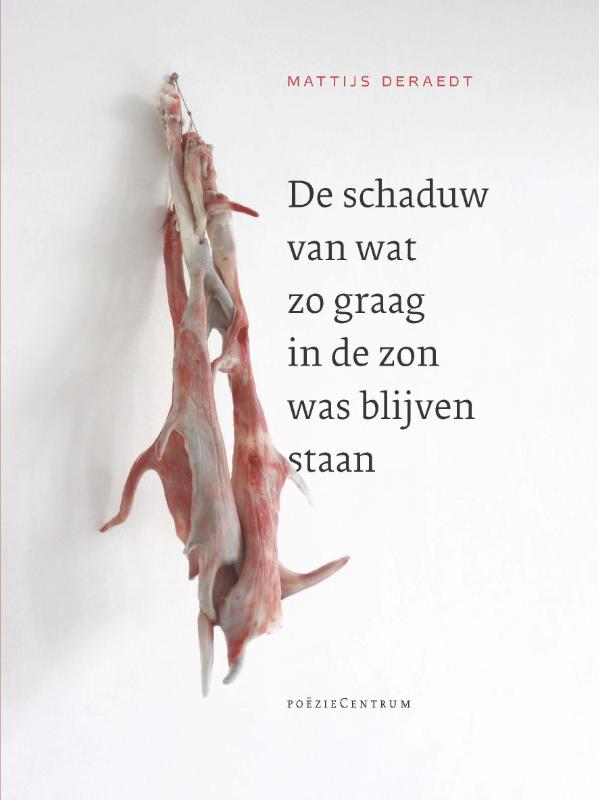 Mattijs Deraedt De Schaduw Van Wat Zo Graag In De Zon Was Blijven Staan